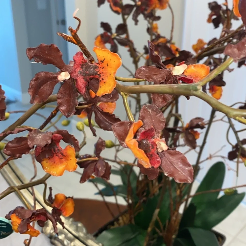 Winward‎ Home Orchid Arrangement in Vase